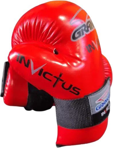 Protectores Invictus Mano Gran Marc Profesionales Taekwondo Itf